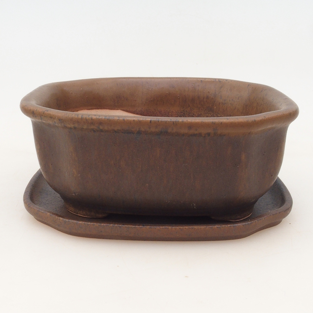 Bonsai bowl + saucer H31 - brown
