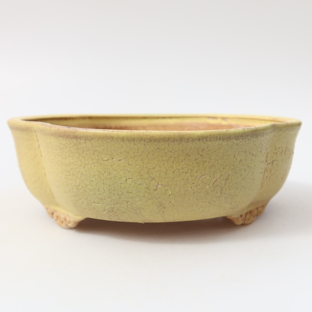 Ceramic bonsai pot, 17.5 x 15.5 x 5.5 cm, yellow