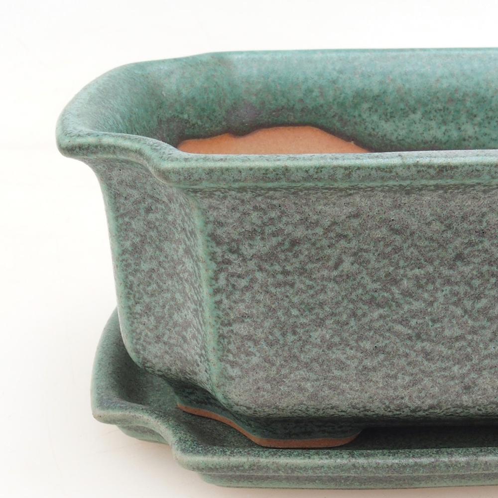Bonsai bowl + saucer H01 - green