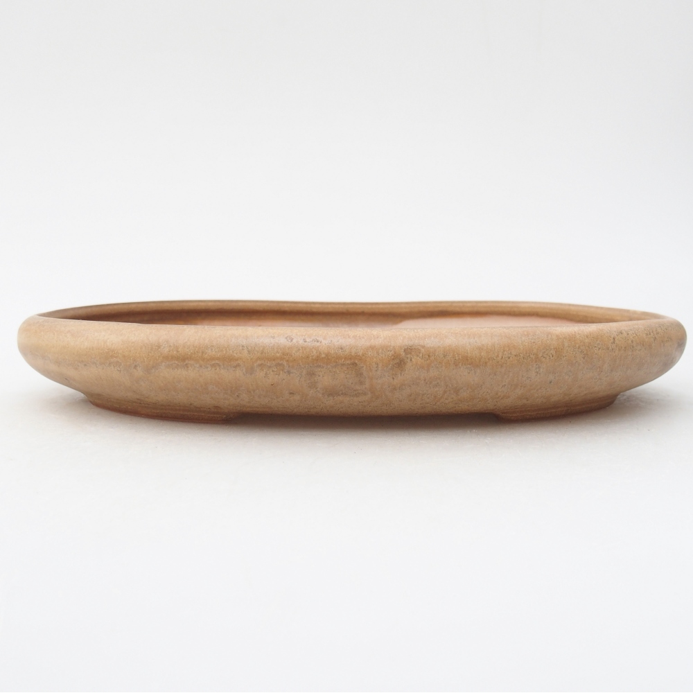 Ceramic bonsai bowl 22,5 x 16,5 x 3 cm, colour beige