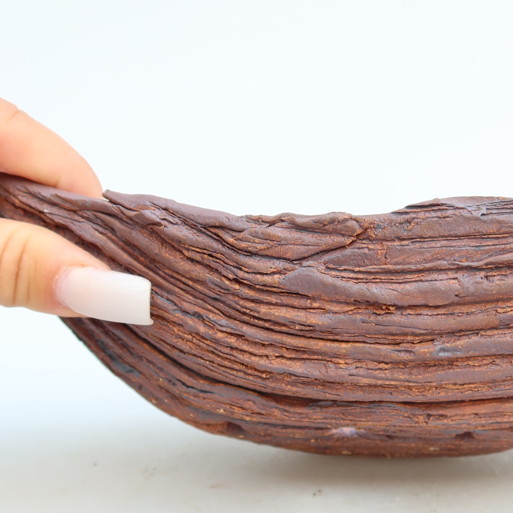 Ceramic Shell  24.5 x 14.5 x 7.5 cm, brown