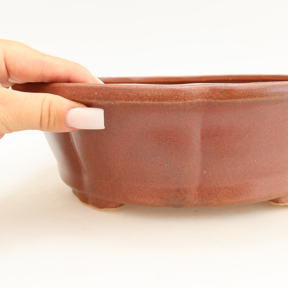 Ceramic bonsai bowl 26 x 26 x 8 cm, burgundy