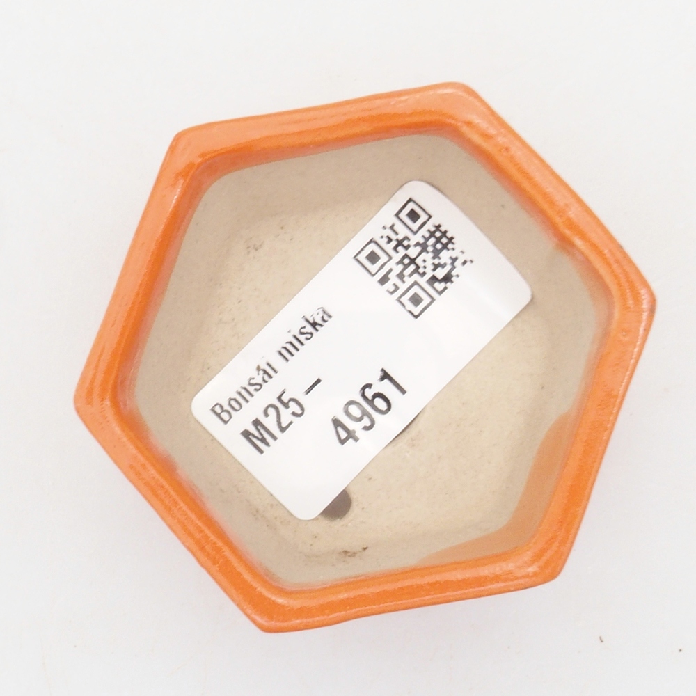 Mini bonsai bowl 6 x 5 x 2,5 cm, color orange