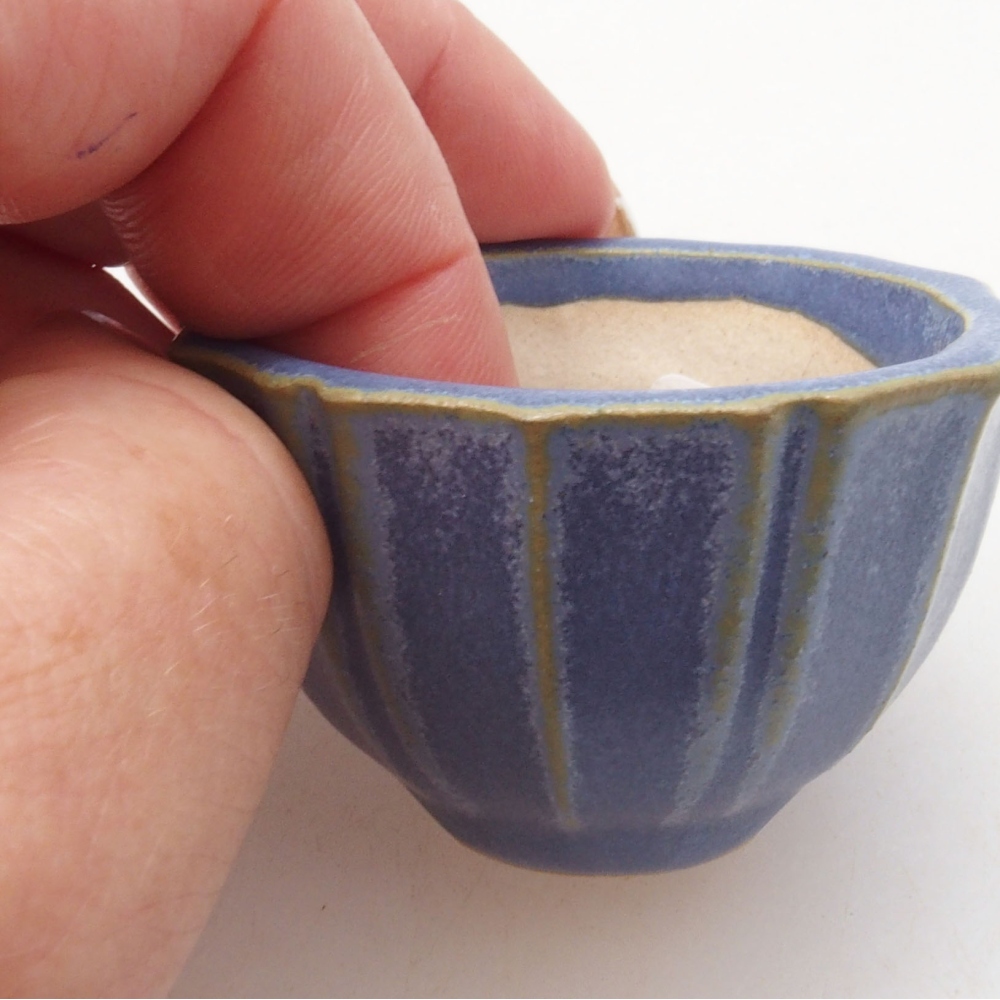 Mini bonsai bowl 5 x 5 x 3 cm, color blue