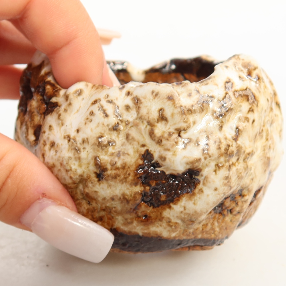 Ceramic Shell, 7.5 x 7 x 5.5 cm, white-brown