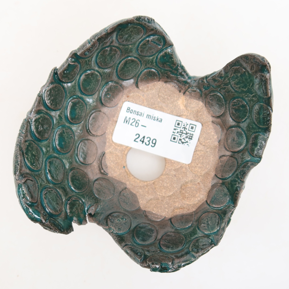 Ceramic Shell  10 x 9 x 6 cm, green