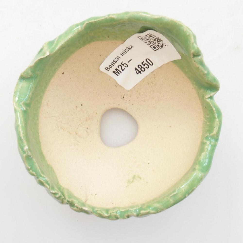 Ceramic shell 7 x 7 x 5,5 cm, color green