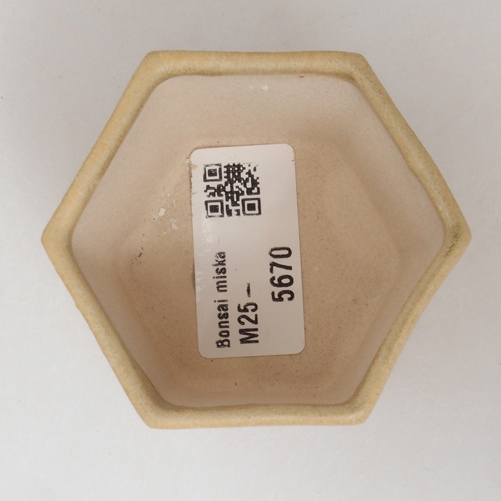 Mini bonsai bowl 7 x 5,5 x 4,5 cm, color brown