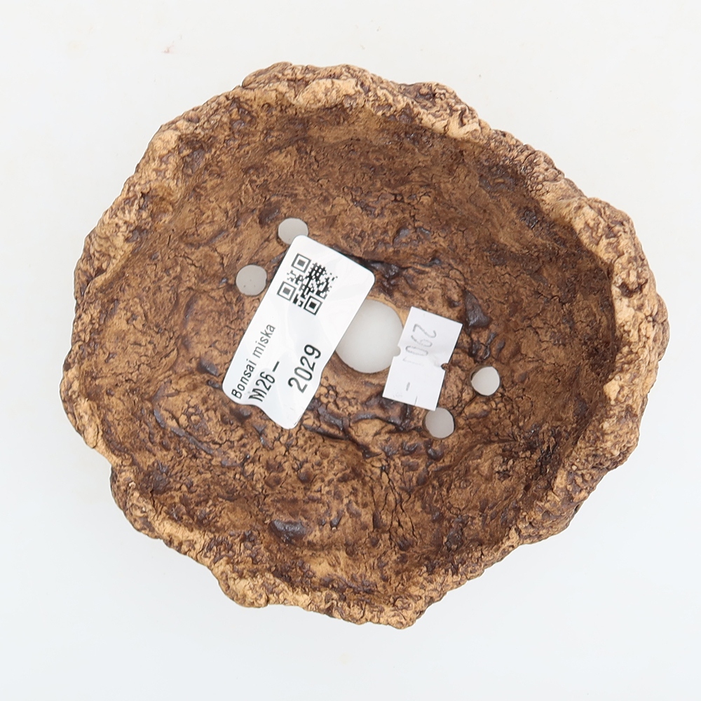 Ceramic Shell 10 x 9,5 x 8 cm , colour brown
