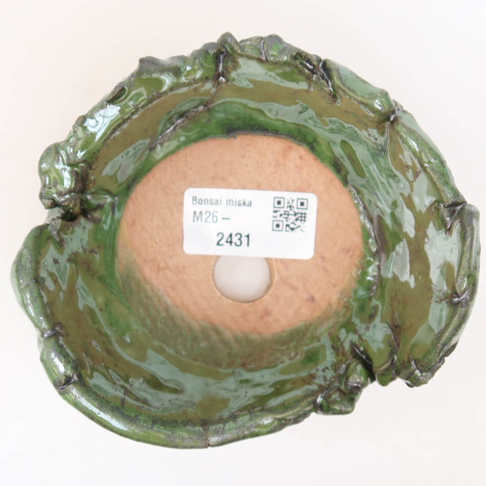 Ceramic Shell  11.5 x 10.5 x 7 cm, green
