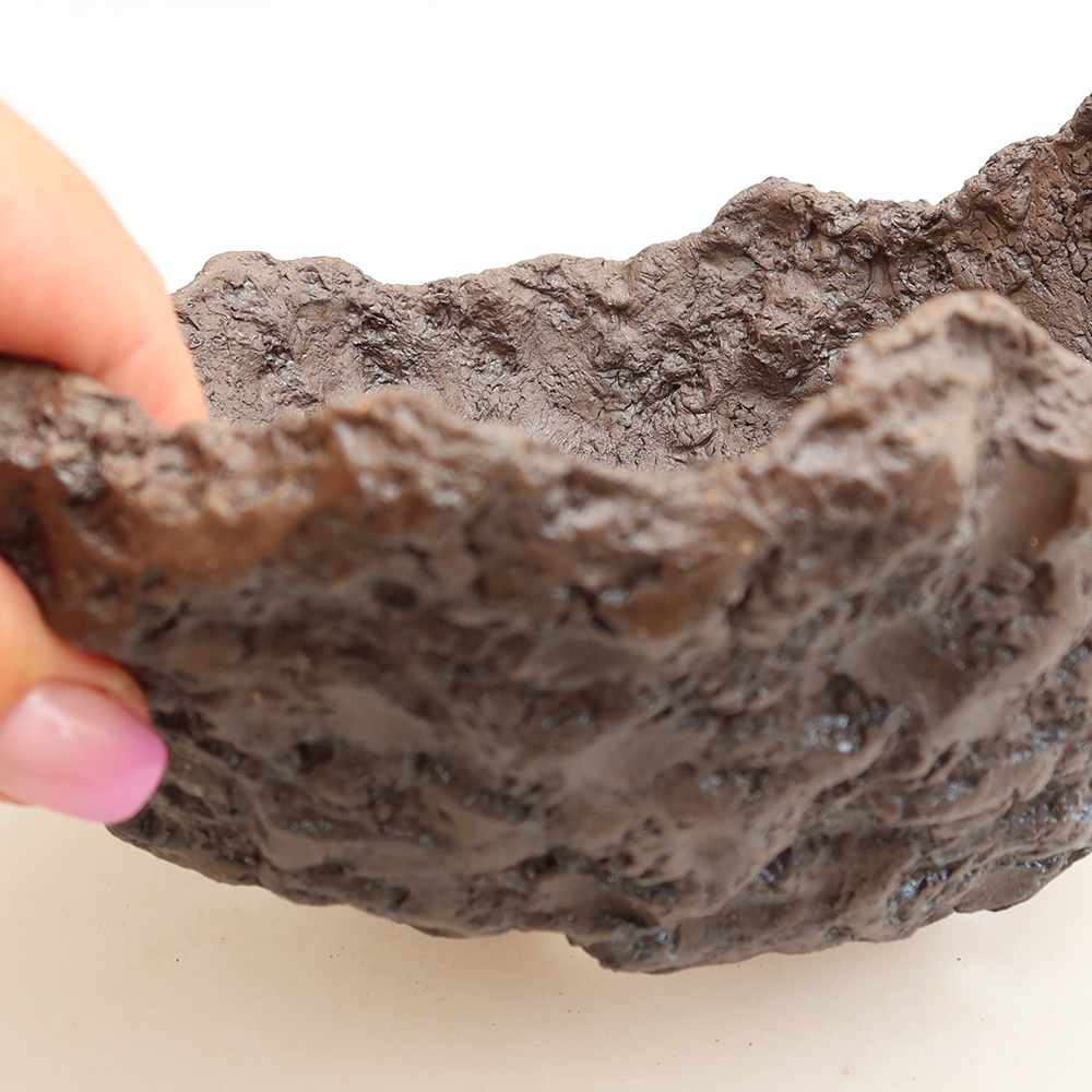 Ceramic Shell, 18.5 x 16.5 x 13 cm, brown
