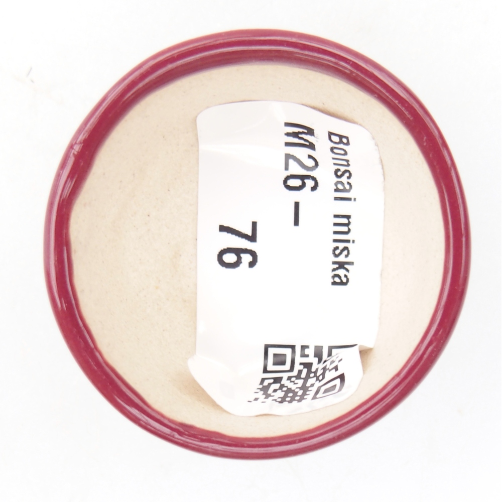 Mini bonsai bowl 4 x 4 x 2 cm, burgundy