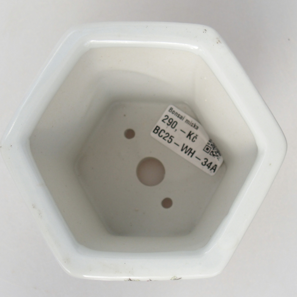 Ceramic bonsai bowl 10,5 x 9,5 x 9 cm, colour white