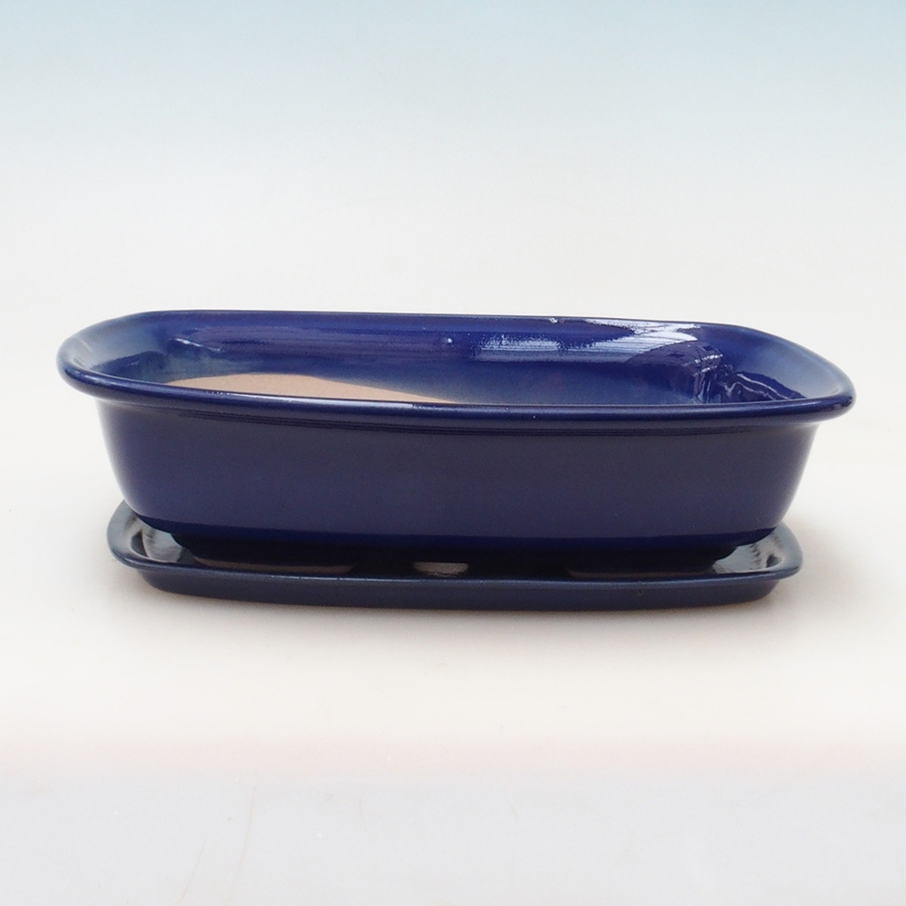 Bonsai pot + saucer H09 - 30 x 23 x 7.5 cm.