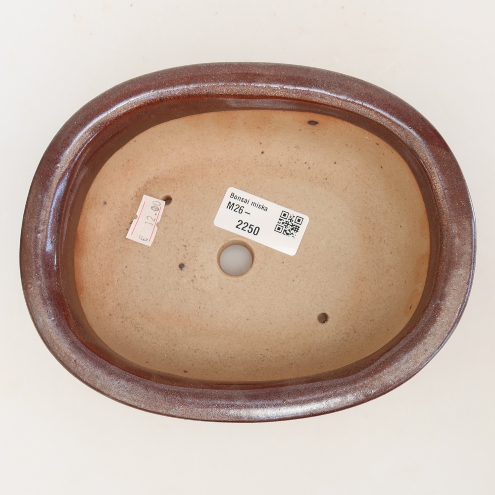 Ceramic bonsai pot, 18 x 14.5 x 5.5 cm, burgundy
