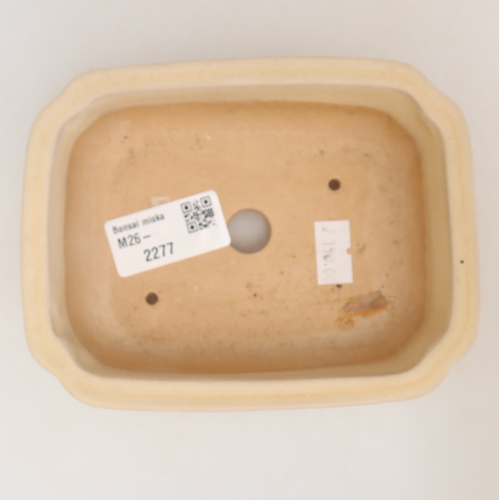 Ceramic bonsai pot, 14 x 11 x 4 cm, beige