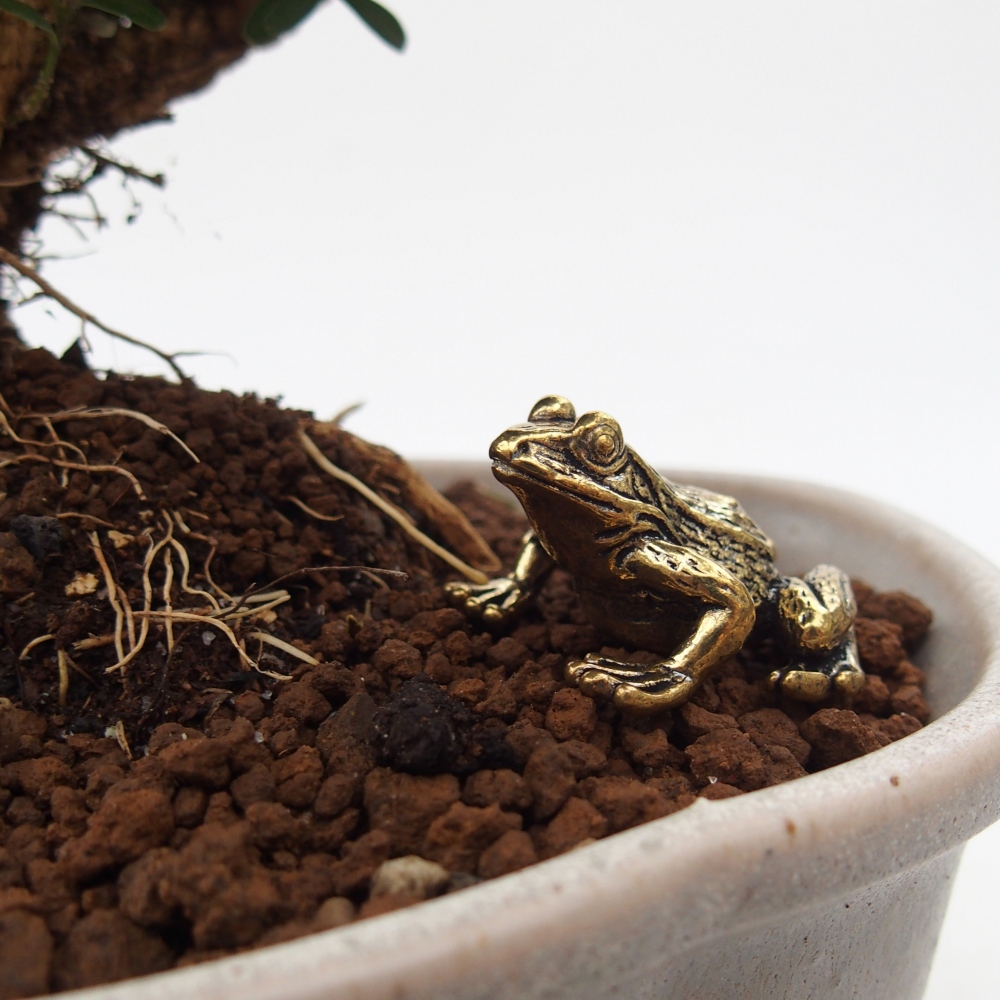 Metal figurine - frog