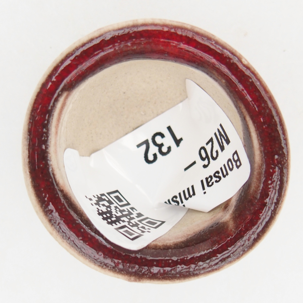 Mini bonsai bowl 3,5 x 3,5 x 2,5 cm, colour red