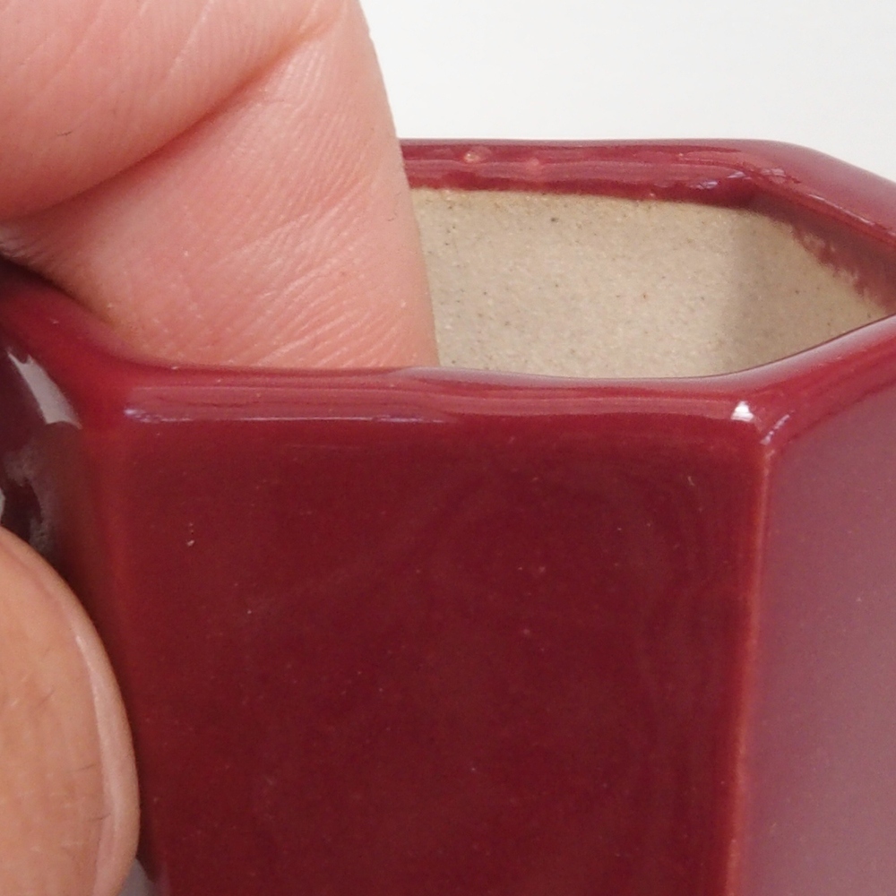 Mini bonsai bowl 4,5 x 4 x 6 cm, color burgundy