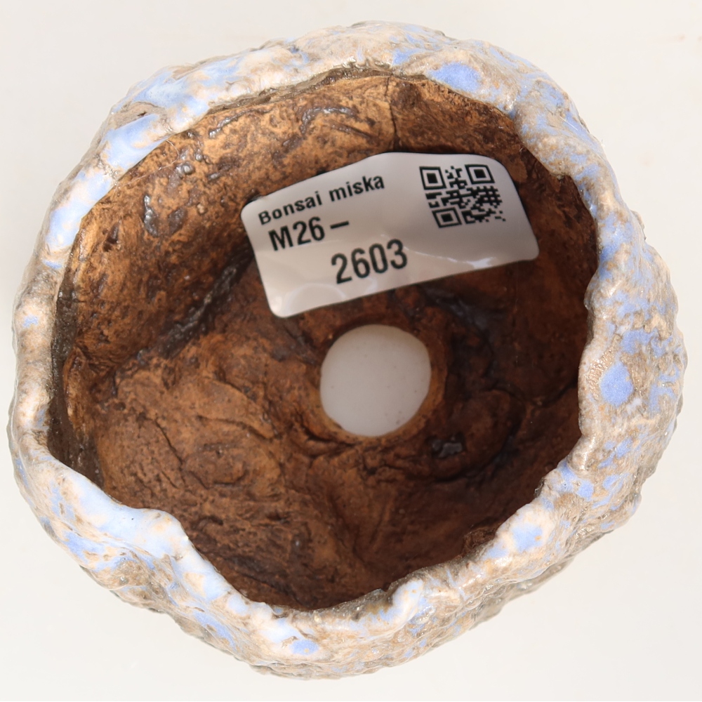 Ceramic Shell, 7.5 x 7 x 6 cm, blue-brown