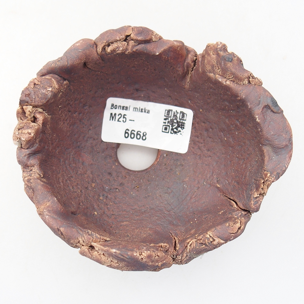 Ceramic Shell 10 x 9 x 5,5 cm , colour brown