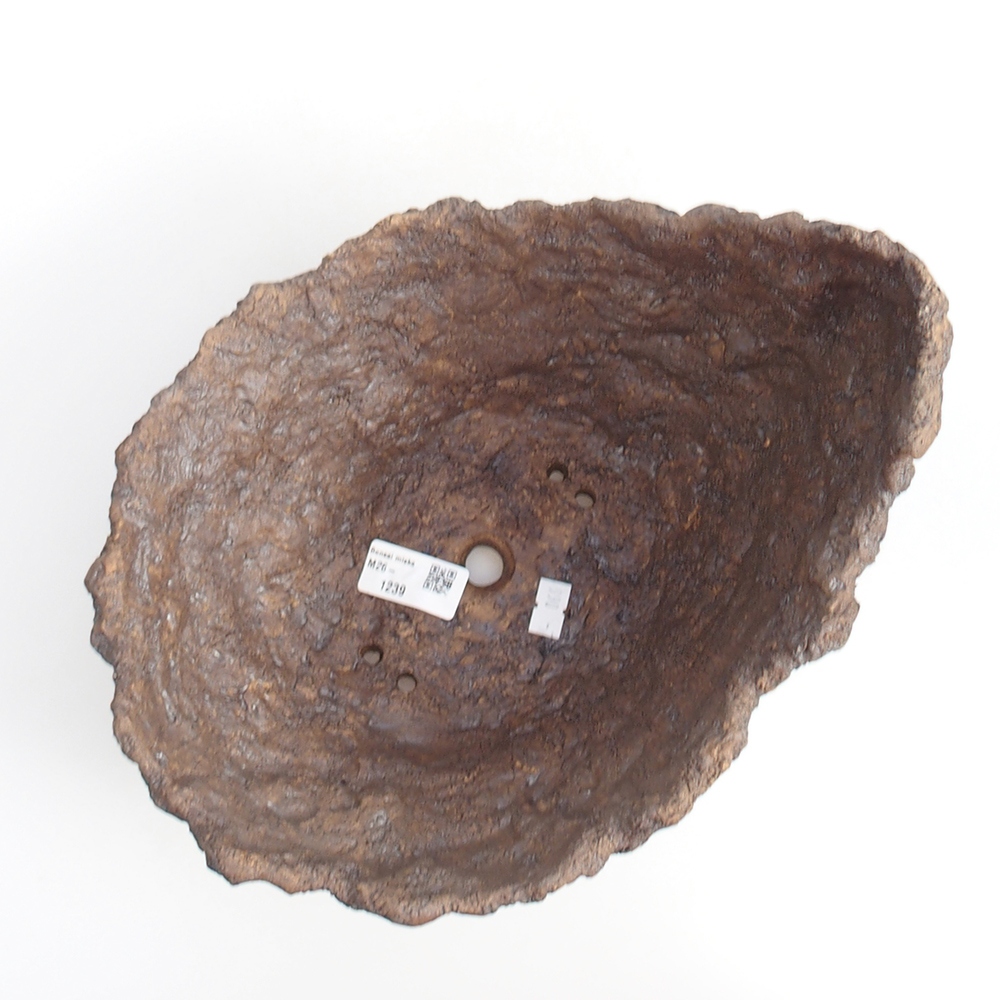 Ceramic shell 19 x 15 x 14 cm , colour brown