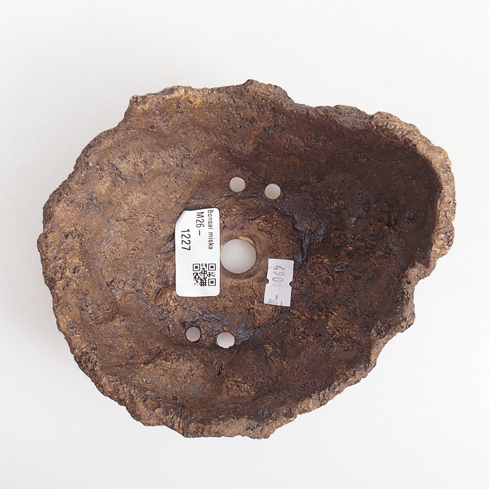 Ceramic shell 14 x 13 x 12 cm , colour brown