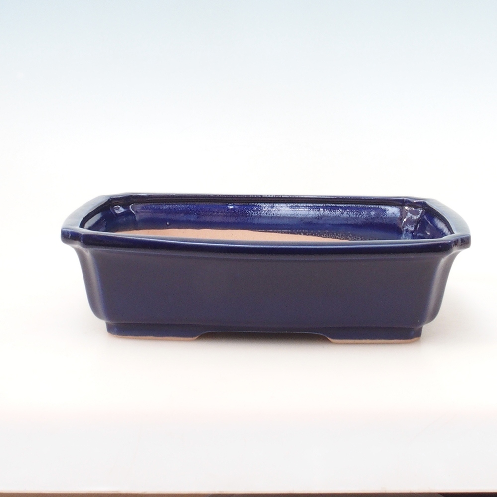 Bonsai bowl H07 - 30 x 20.5 x 8 cm. - blue