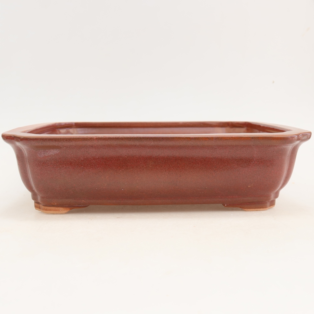 Ceramic bonsai pot, 27.5 x 21.5 x 7 cm, burgundy