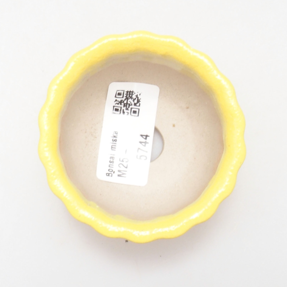 Ceramic bonsai bowl 7 x 3 x 3,5 cm, yellow