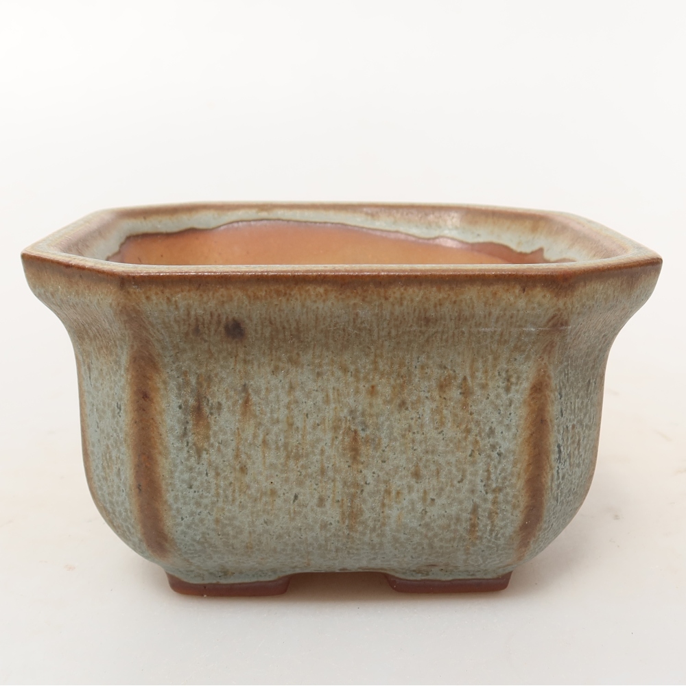 Ceramic Shell  11 x 11 x 6.5 cm, beige