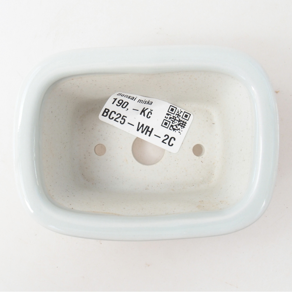 Mini bonsai bowl 10 x 7,5 x 4 cm, colour white