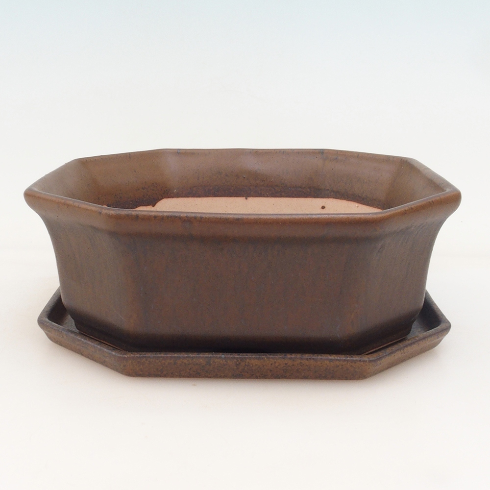 Bonsai bowl + bowl H14 - brown