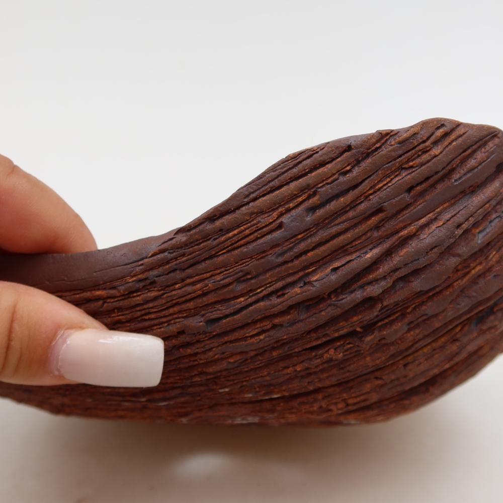 Ceramic Shell  20 x 15.5 x 6 cm, brown