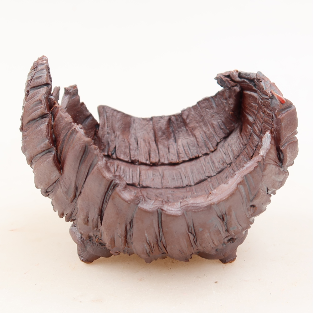 Ceramic Shell, 9.5 x 9.5 x 7 cm, brown