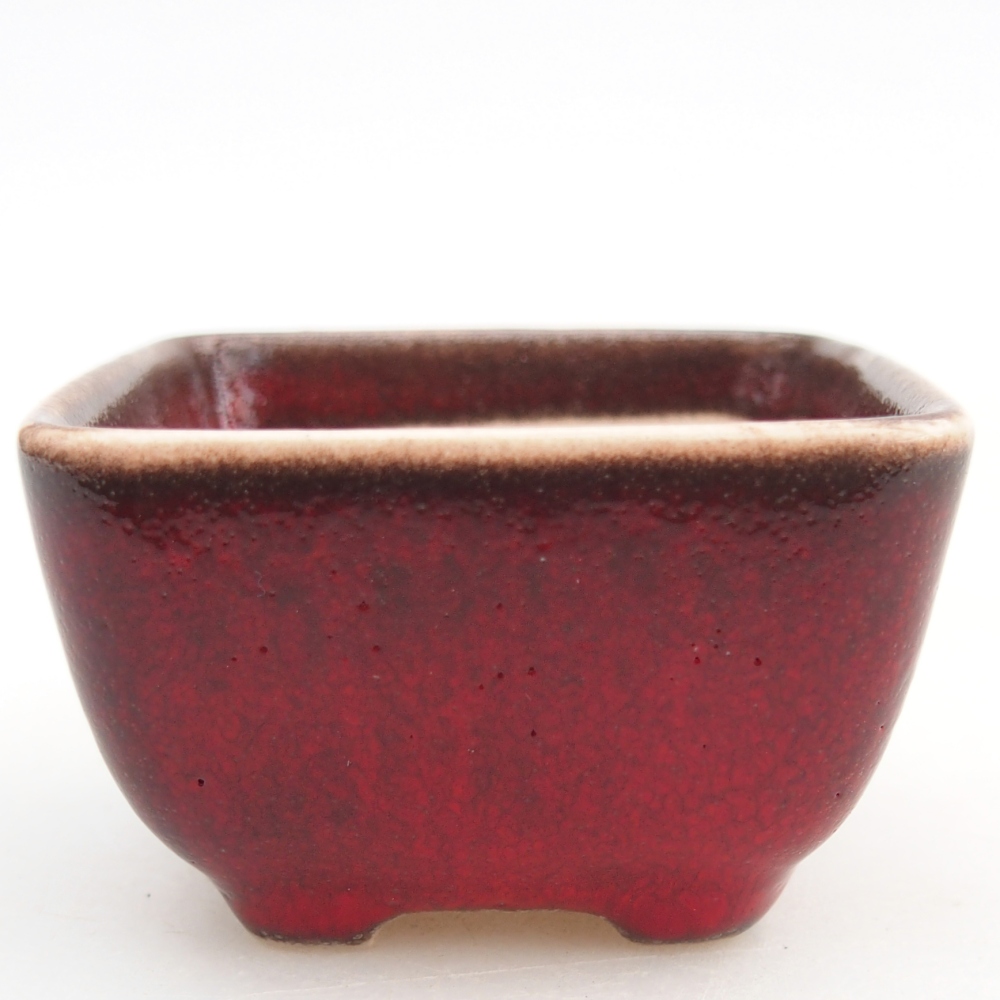 Mini bonsai bowl 5 x 5 x 3 cm, colour red