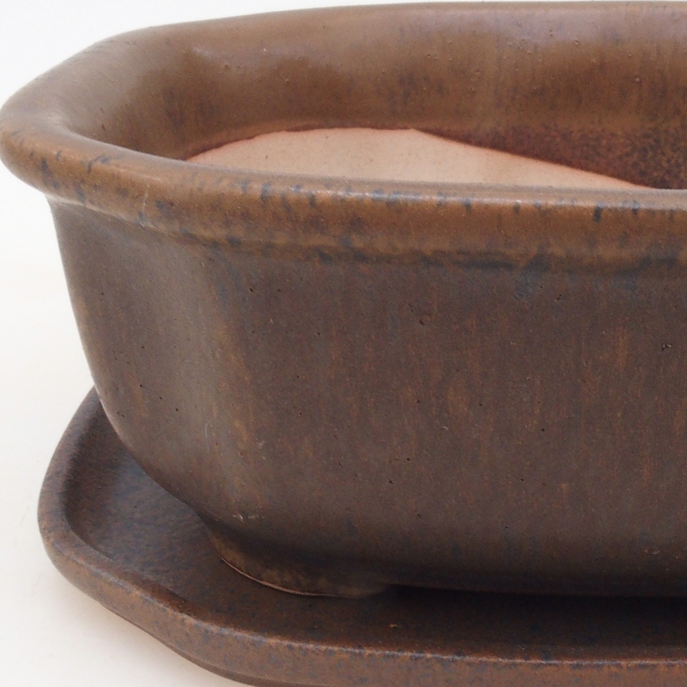Bonsai bowl + saucer H31 - brown