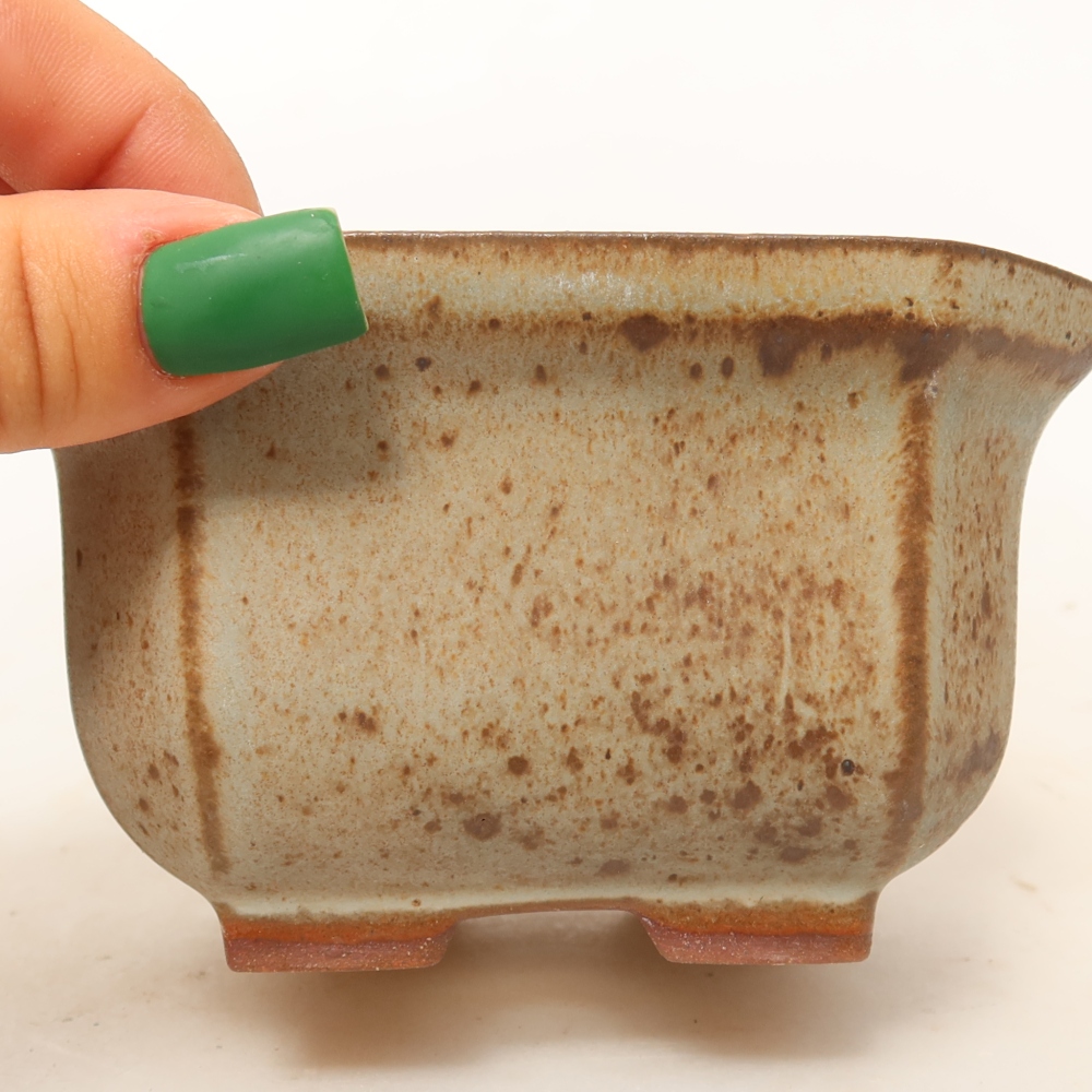Ceramic Shell  11 x 11 x 6.5 cm, beige