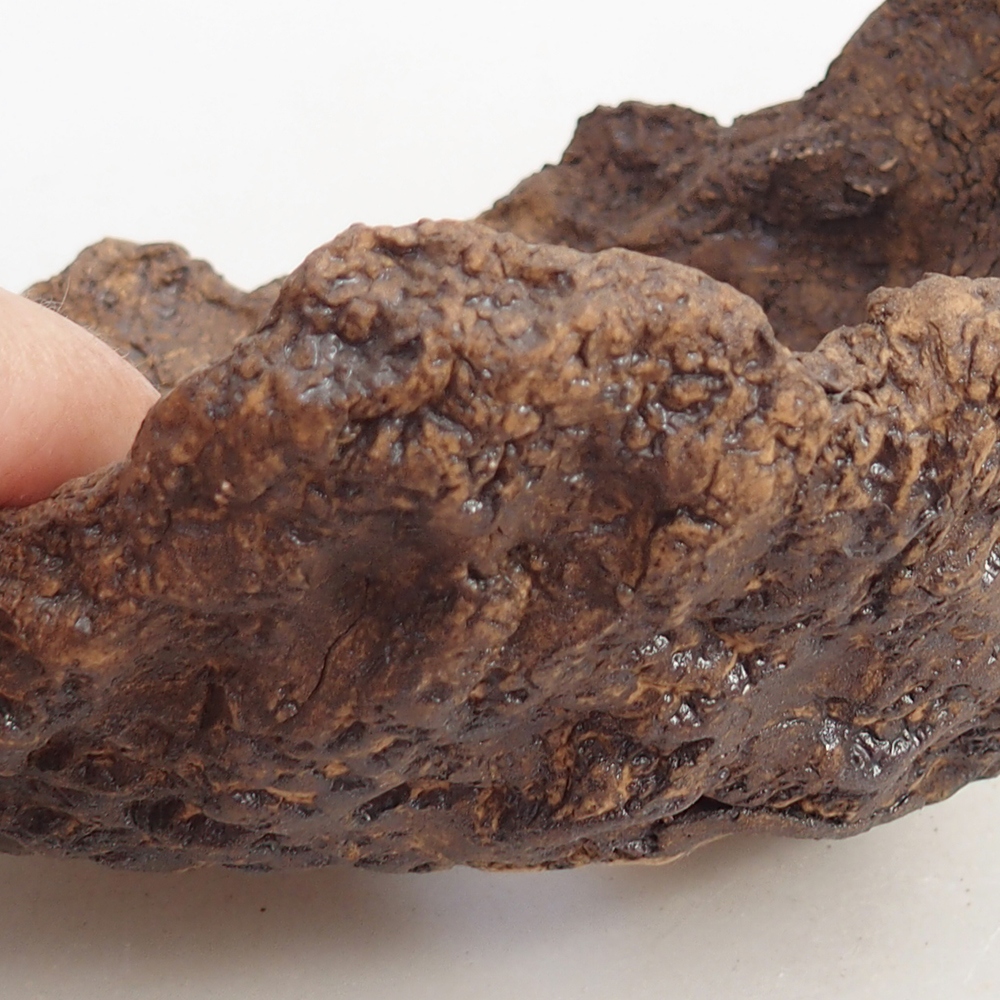 Ceramic shell 14,5 x 13 x 13 cm , colour brown