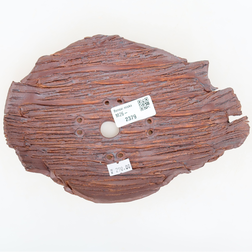 Ceramic Shell  21 x 15 x 5.5 cm, brown