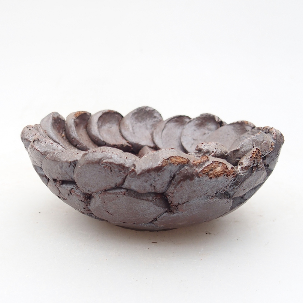 Ceramic shell 9 x 9 x 4 cm, color brown