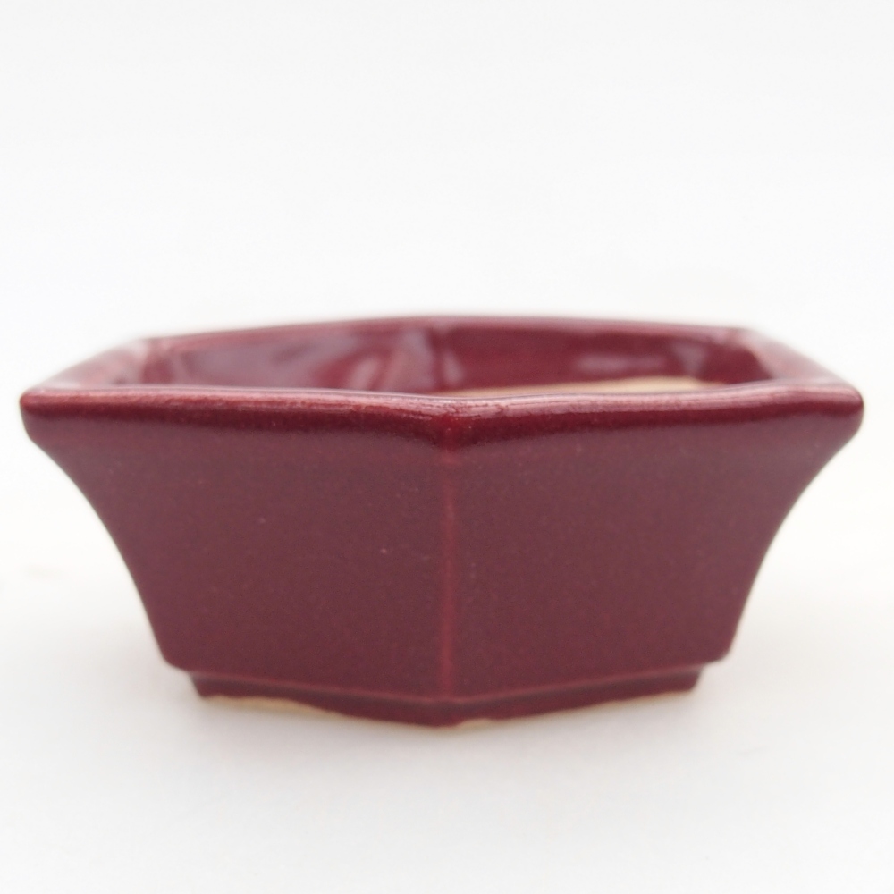 Mini bonsai bowl 6 x 5,5 x 2,5 cm, burgundy
