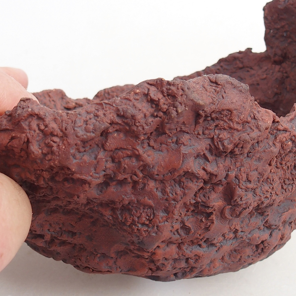 Ceramic Shell 13 x 11,5 x 10,5 cm , colour brown