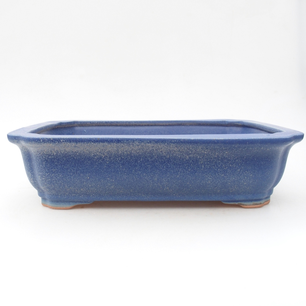 Ceramic bonsai bowl 28 x 22 x 7 cm, colour blue