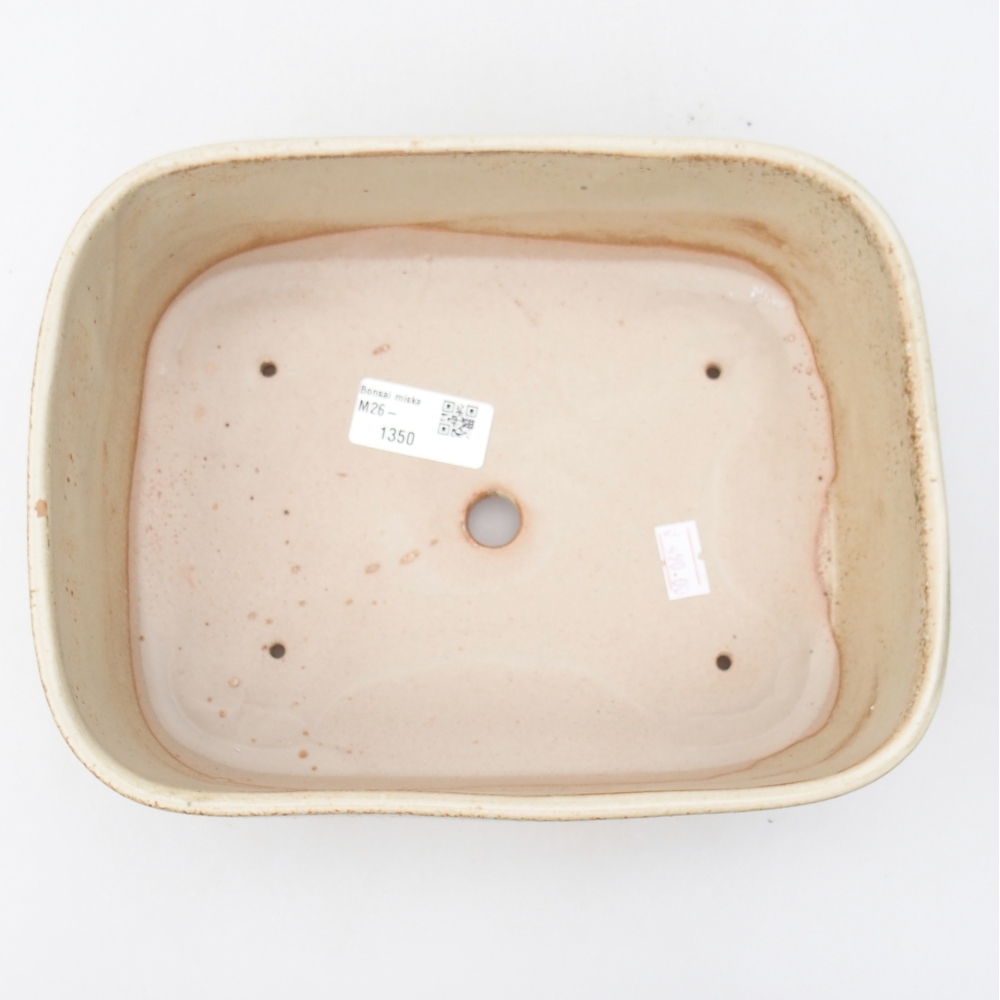 Ceramic bonsai bowl 23 x 18 x 7,5 cm, colour beige