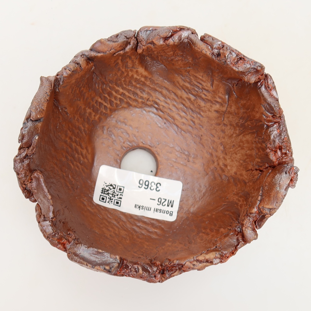 Ceramic Shell 10 x 10 x 7 cm , colour brown