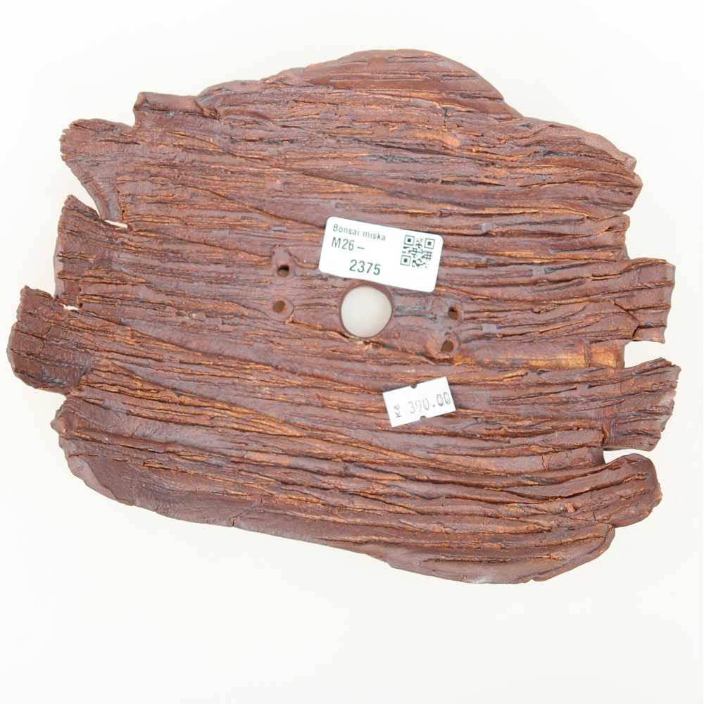 Ceramic Shell  20 x 15.5 x 6 cm, brown