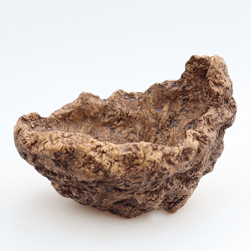 Ceramic Shell, 10 x 9 x 8 cm, brown