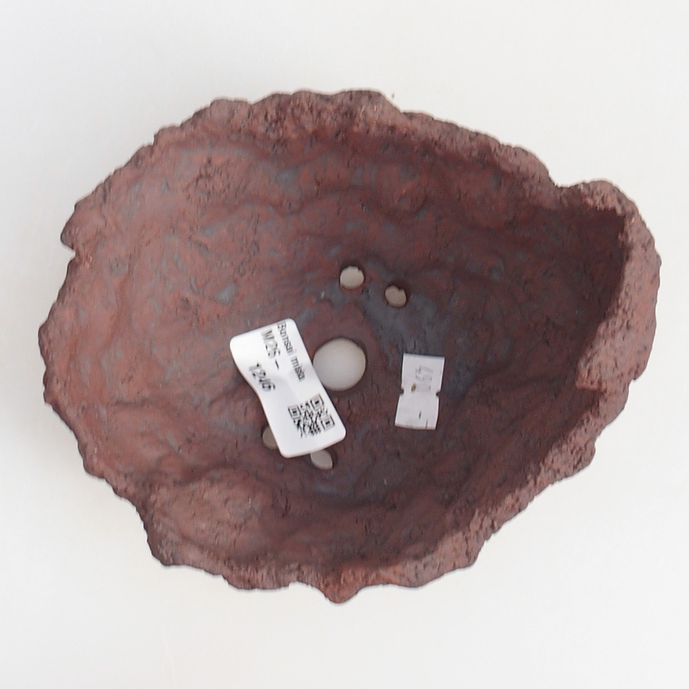 Ceramic Shell 13 x 11 x 12 cm , colour brown