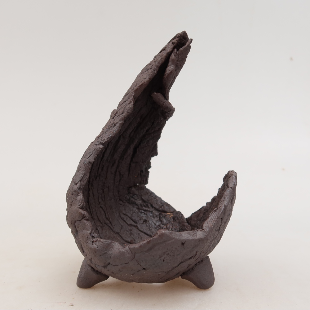 Ceramic Shell, 7.5 x 8 x 13 cm, brown
